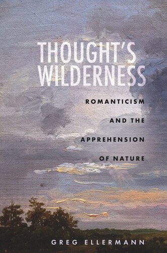 Thoughts Wilderness Romanticism And The Apprehension Of Nature Greg Ellermann