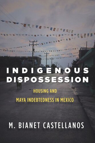 Indigenous Dispossession Housing And Maya Indebtedness In Mexico M Bianet Castellanos