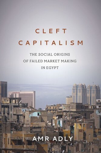 Cleft Capitalism The Social Origins Of Failed Market Making In Egypt Amr Adly