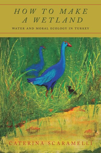 How To Make A Wetland Water And Moral Ecology In Turkey Caterina Scaramelli