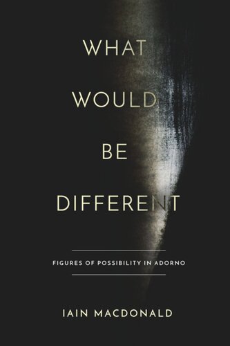What Would Be Different Figures Of Possibility In Adorno Iain Macdonald