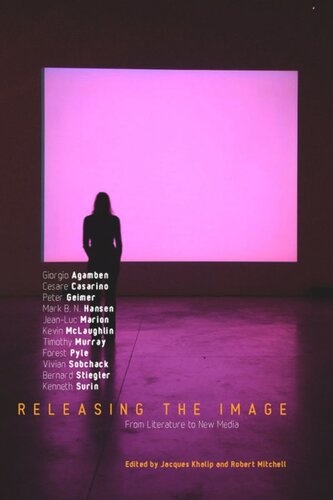 Releasing The Image From Literature To New Media Jacques Khalip Editor Robert Mitchell Editor Giorgio Agamben Editor Cesare Casarino Editor Peter Geimer Editor Mark Hansen Editor