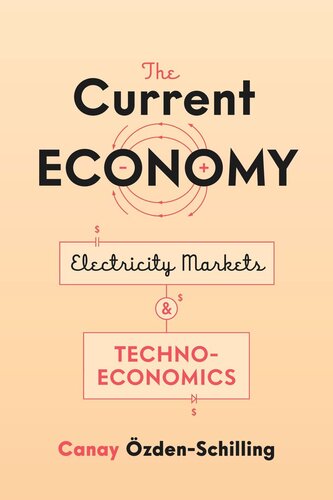 The Current Economy Electricity Markets And Technoeconomics Canay Zdenschilling