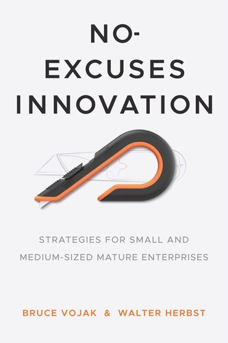 Noexcuses Innovation Strategies For Small And Mediumsized Mature Enterprises Bruce Vojak Walter Herbst