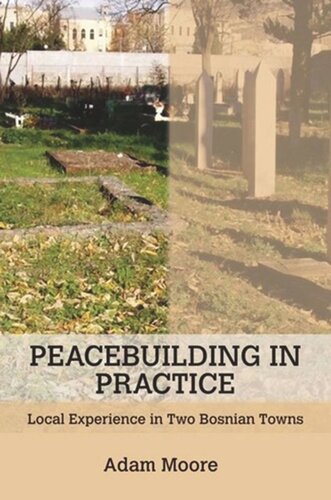 Peacebuilding In Practice Local Experience In Two Bosnian Towns Adam Moore