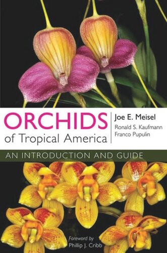 Orchids Of Tropical America An Introduction And Guide Joe E Meisel Ronald S Kaufmann Franco Pupulin Phillip J Cribb