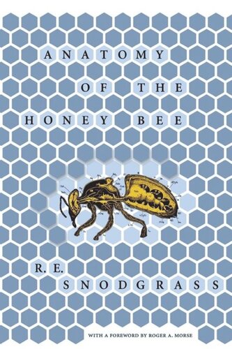 Anatomy Of The Honey Bee R E Snodgrass Roger A Morse