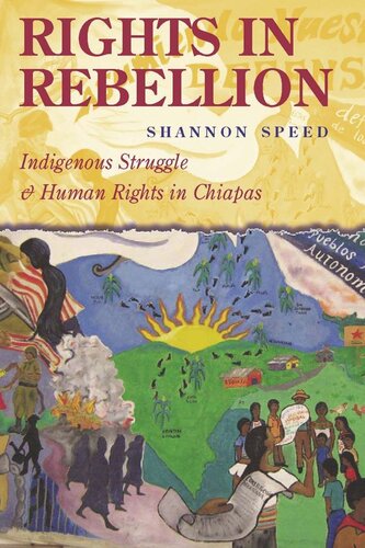 Rights In Rebellion Indigenous Struggle And Human Rights In Chiapas Shannon Speed