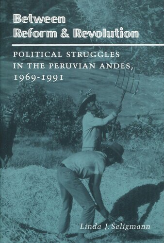 Between Reform And Revolution Political Struggles In The Peruvian Andes 19691991 Linda J Seligmann
