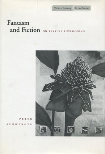 Fantasm And Fiction On Textual Envisioning Peter Schwenger