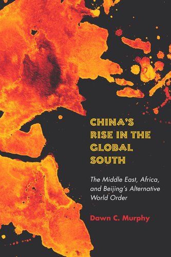 Chinas Rise In The Global South The Middle East Africa And Beijings Alternative World Order Dawn C Murphy