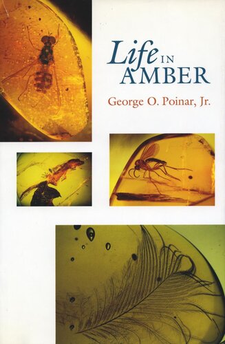 Life In Amber George O Poinar