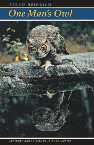 One Mans Owl Abridged Edition Bernd Heinrich