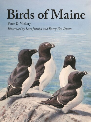 Birds Of Maine