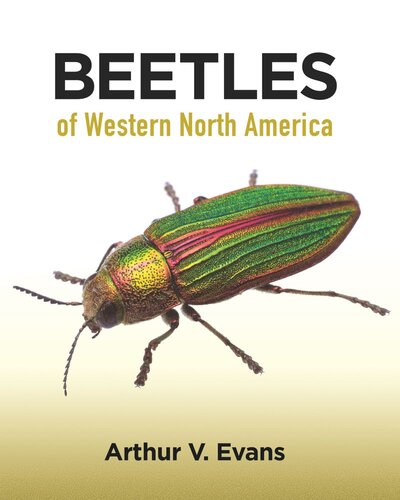 Beetles Of Western North America Arthur V Evans