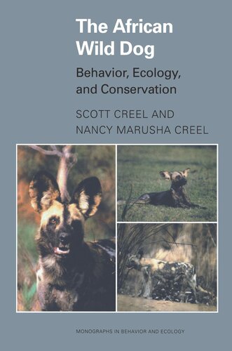The African Wild Dog Behavior Ecology And Conservation Scott Creel Nancy Marusha Creel