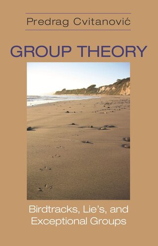 Group Theory Birdtracks Lies And Exceptional Groups Course Book Predrag Cvitanovi