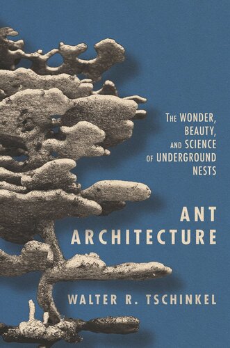 Ant Architecture The Wonder Beauty And Science Of Underground Nests Walter R Tschinkel