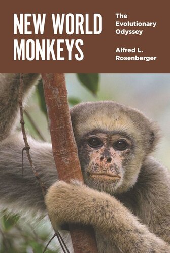 New World Monkeys The Evolutionary Odyssey Alfred L Rosenberger