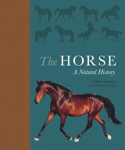 The Horse A Natural History Debbie Busby Catrin Rutland