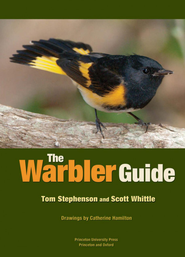 The Warbler Guide Course Book Tom Stephenson Scott Whittle