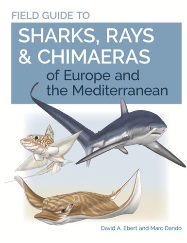 Field Guide To Sharks Rays Chimaeras Of Europe And The Mediterranean David A Ebert Marc Dando
