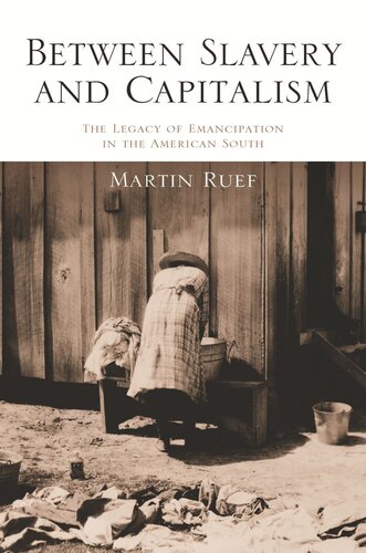 Between Slavery And Capitalism The Legacy Of Emancipation In The American South Pilot Project Ebook Available To Selected Us Libraries Only Martin Ruef