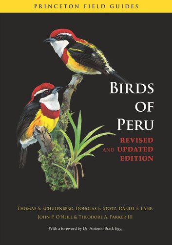 Birds Of Peru Revised And Updated Edition Revised And Updated Thomas S Schulenberg Douglas F Stotz Daniel F Lane John P Oneill Theodore A Parker Antonio Brack Egg