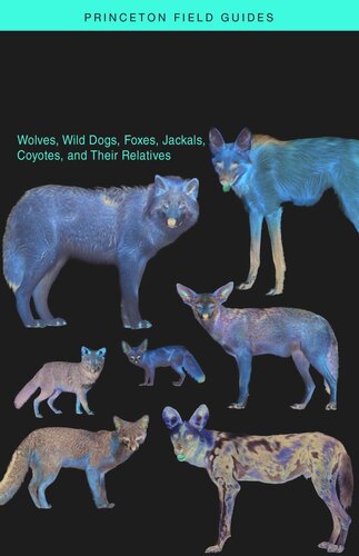 Canids Of The World Wolves Wild Dogs Foxes Jackals Coyotes And Their Relatives Jos R Castell Claudio Sillerozubiri