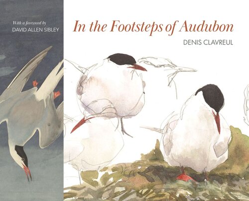 In The Footsteps Of Audubon Denis Clavreul Martha Le Cars David Allen Sibley