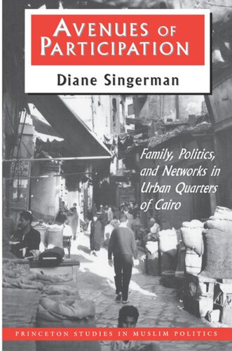 Avenues Of Participation Family Politics And Networks In Urban Quarters Of Cairo Diane Singerman