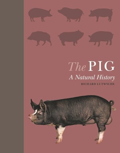 The Pig A Natural History Richard Lutwyche