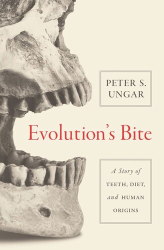 Evolutions Bite A Story Of Teeth Diet And Human Origins Peter Ungar