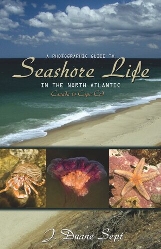 A Photographic Guide To Seashore Life In The North Atlantic Canada To Cape Cod J Duane Sept