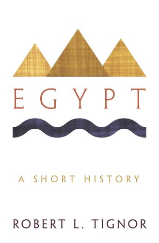 Egypt A Short History With A New Afterword By The Author Robert L Tignor