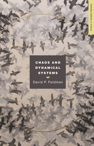 Chaos And Dynamical Systems David Feldman