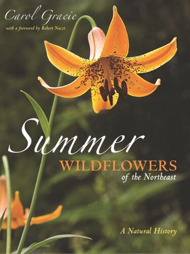 Summer Wildflowers Of The Northeast A Natural History Carol Gracie