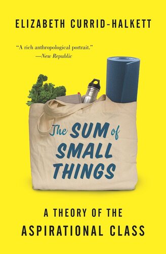 The Sum Of Small Things A Theory Of The Aspirational Class Elizabeth Curridhalkett