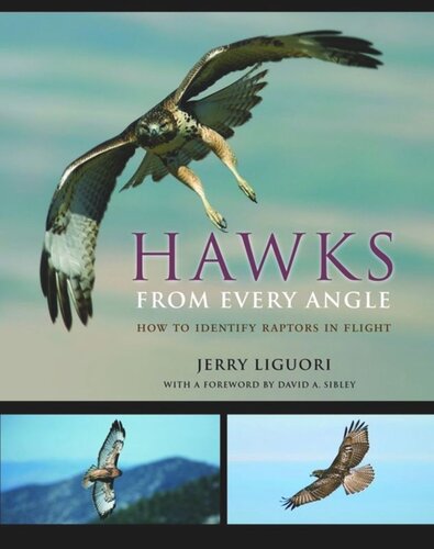 Hawks From Every Angle How To Identify Raptors In Flight Jerry Liguori David A Sibley