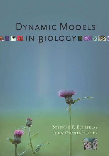 Dynamic Models In Biology Stephen P Ellner John Guckenheimer