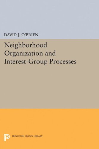 Neighborhood Organization And Interestgroup Processes David J Obrien