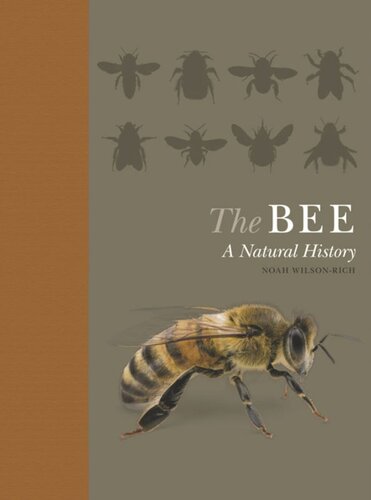 The Bee A Natural History Course Book Noah Wilsonrich Kelly Allin Norman Carreck Andrea Quigley