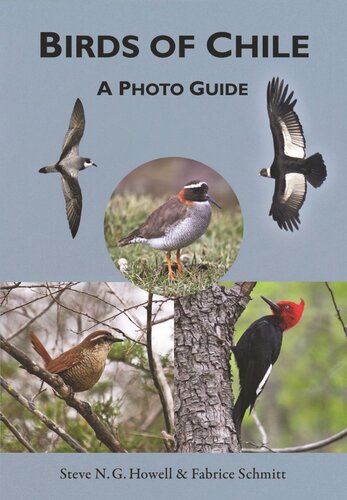 Birds Of Chile A Photo Guide Steve N G Howell Fabrice Schmitt