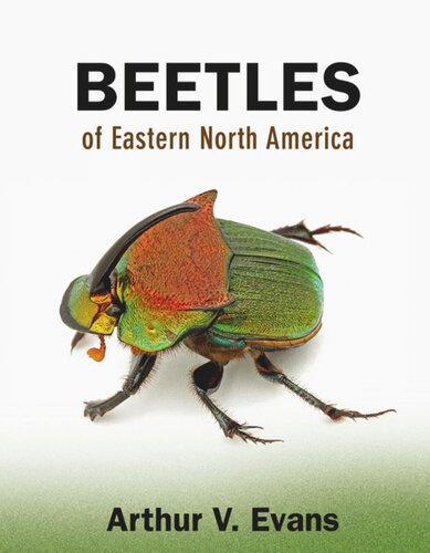 Beetles Of Eastern North America Course Book Arthur V Evans