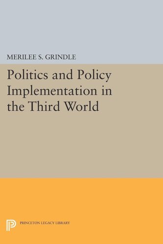 Politics And Policy Implementation In The Third World Merilee S Grindle