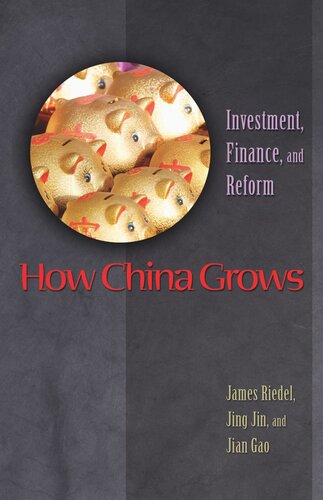 How China Grows Investment Finance And Reform James Riedel Jing Jin Jian Gao