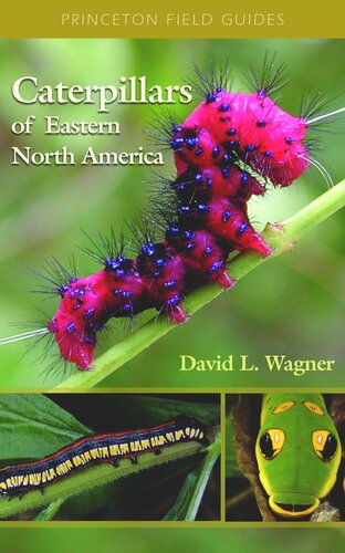 Caterpillars Of Eastern North America A Guide To Identification And Natural History Course Book David L Wagner