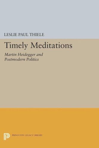 Timely Meditations Martin Heidegger And Postmodern Politics Course Book Leslie Paul Thiele