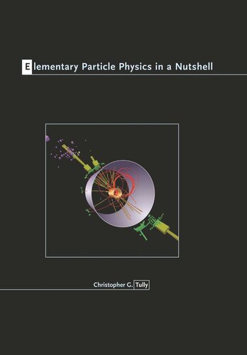 Elementary Particle Physics In A Nutshell Christopher G Tully