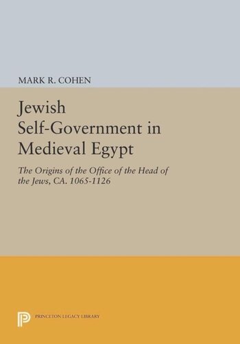 Jewish Selfgovernment In Medieval Egypt The Origins Of The Office Of The Head Of The Jews Ca 10651126 Course Book Mark R Cohen